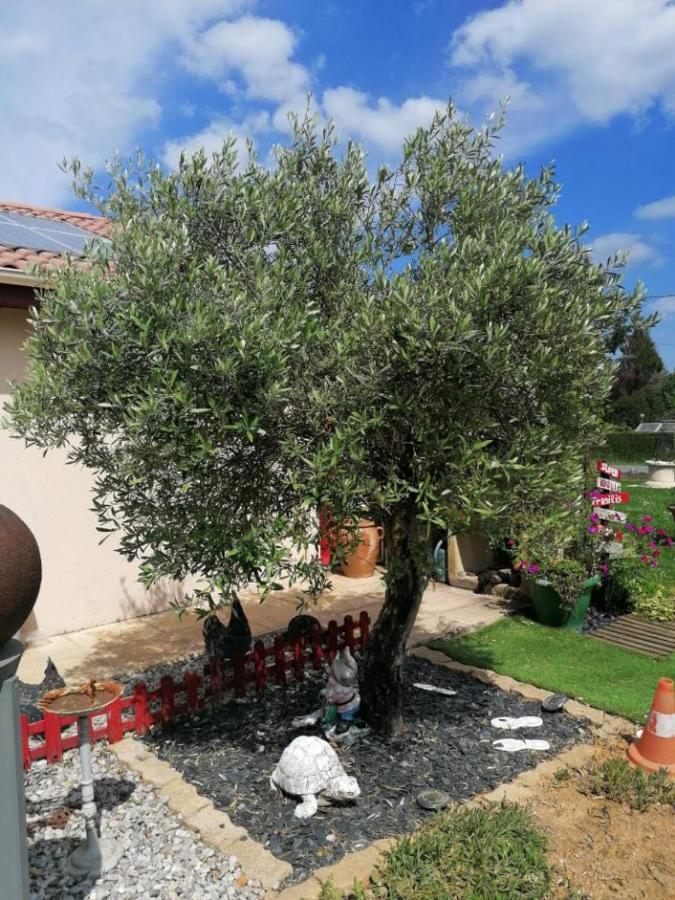 לינה וארוחת בוקר אורדור-סור-גלאן La Roulotte Des Trois Arbres מראה חיצוני תמונה